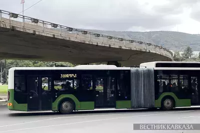 Грузия вводит новые стандарты пассажирских автоперевозок