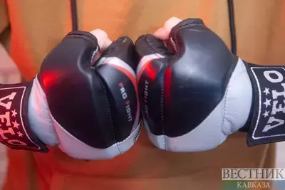 Мераб Двалишвили остался легчайшим чемпионом UFC